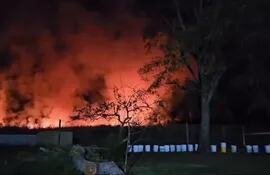 Un incendio de pastizales pone en riego al refugio de animales “Mi pequeño hogar”, ubicado en Escobar.