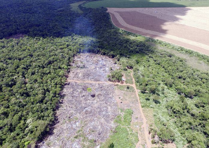 La reserva Campos Morombí deforestada por invasores.