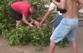 Agente de Policía quedó bajo un gajo de un árbol afectado por el temporal en Concepción.