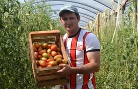 los-primeros-tomates-de-la-variedad-graciani-fueron-recolectados-por-el-productor-lucio-gonzalez-la-siembra-en-forma-experimental-fue-en-setiem-br-201838000000-1672272.jpg