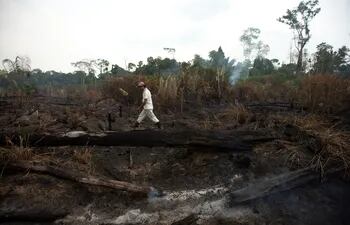 Vista de los daños producto del incendio en la selva amazónica este lunes, en Porto Velho (Brasil).
