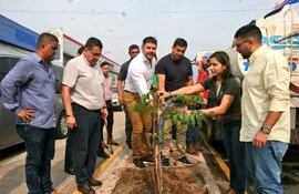 El intendente Óscar Rodríguez posando con unos arbolitos plantados en la avenida Eusebio Ayala. Irónicamente, autorizó tala de 77 árboles en barrio San Vicente.