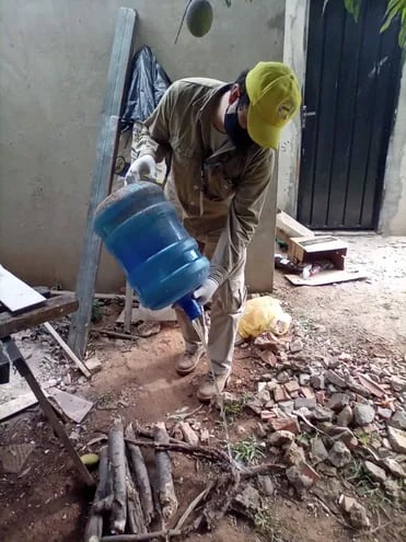 Instan a la eliminación de criaderos de mosquitos para evitar brotes de dengue.