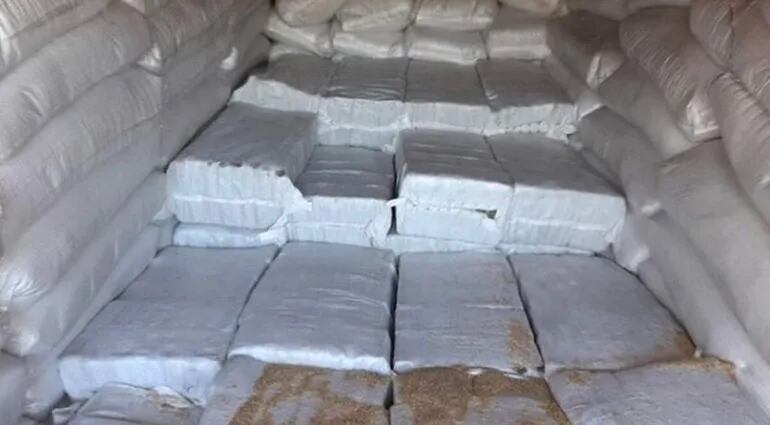 Confirman decomiso en Bélgica de cinco toneladas de cocaína enviadas de Paraguay