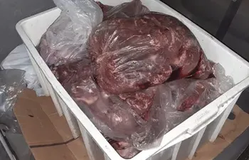 Carne de dudosa procedencia era supuestamente para un frigorífico de Limpio.