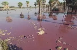 Un estanque teñido de rojo ubicado dentro de una planta industrial de cuero podría ocasionar la contaminación de los arroyos que desembocan en los humedales del Lago Ypoá.