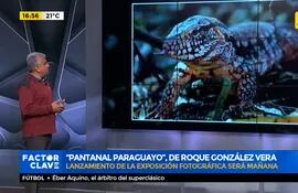 "Pantanal paraguayo", de Roque González Vera