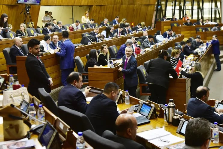 La Cámara de Diputados aprobó con modificaciones el proyecto que concede "superpoderes" al gobierno de Santiago Peña.