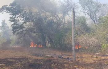 Un incendio forestal de gran magnitud que se registró en la Colonia Gral. Bernardino Caballero de la ciudad de Atyrá, en octubre del año pasado.