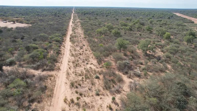 El Parque Médanos del Chaco tiene un ecosistema único que ahora apeligra por una llamativa iniciativa de un diputado cartista (Foto: Tatiana Galluppi)