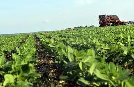 Datos de Crop Life Latin America señalan que hoy  se aplican menos agrodefensivos en cultivos.