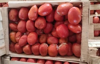 Cajas de tomates se pudren en Aduana Argentina.