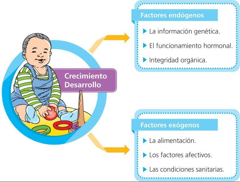 Factores que inciden en el crecimiento y desarrollo