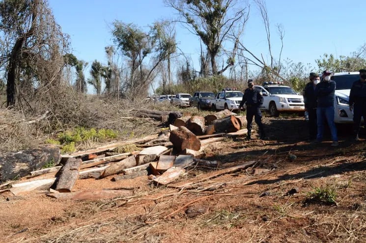 La comitiva integrada por agentes fiscales, Infona, Mades y la policía nacional constató la tala de árboles y cambio de uso de suelo durante una intervención en la zona de reserva para parque San Rafael.