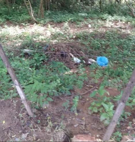 Arroyos y Esteros: denuncian falta de limpieza en patios baldíos