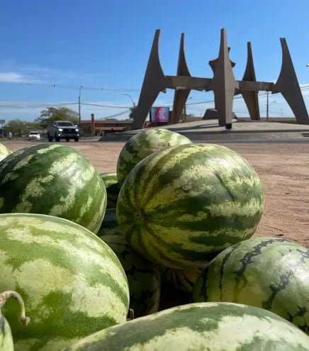 Las sandías son expuestas por productores, quienes pudieron cosechar la fruta pese a la prolongada sequía que atraviesa el Chaco.