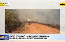 Fuego consumió 70 hectáreas en Natalio