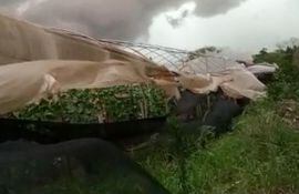 Los fuertes vientos destruyeron el sistema de protección de los cultivos en la comunidad El Triunfo de Minga Guazú.