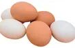 dia-mundial-del-huevo-01905000000-1765503.jpg