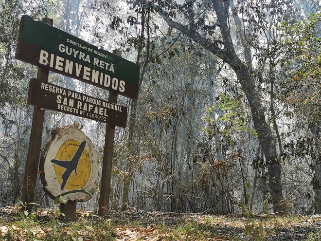 Reserva es consumida por incendios provocados por marihuaneros o predadores de bosque.
