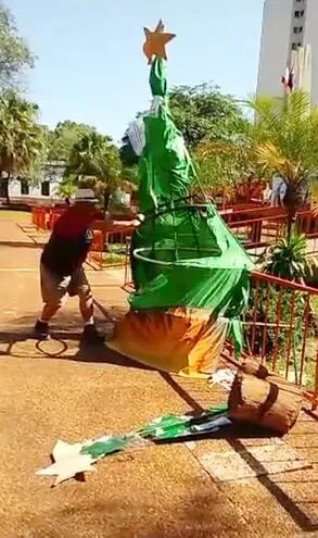 Imagen del video donde  Miguel Gamón, un hurrero colorado  y funcionario municipal, destruye el árbol.