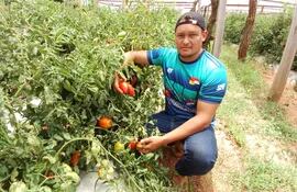 El productor, Diego Martínez, mostrando su producción de tomate en su finca.