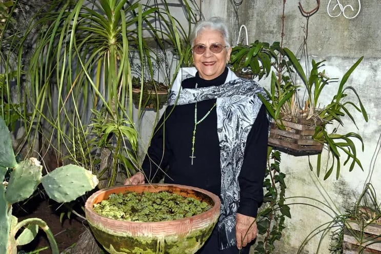 Tierra de orquídeas Locales ABC Color