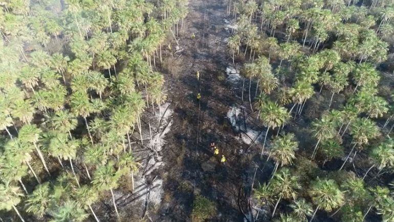 Ya no se visualizan focos de incendios en territorio del Chaco paraguayo.