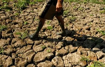 Una de las características del fenómeno de La Niña es la sequía por menores precipitaciones.