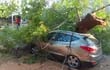Una enorme rama cayó sobre un vehículo estacionado frente al Club Cerro Porteño.