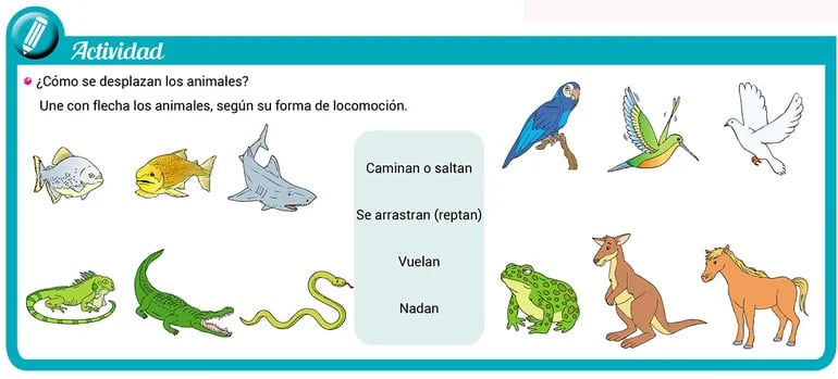 Animales según su forma de locomoción - Escolar - ABC Color