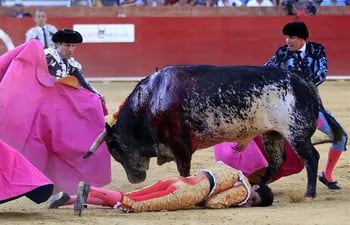 muere-joven-torero-espanol-en-pleno-ruedo-113251000000-1477762.jpg