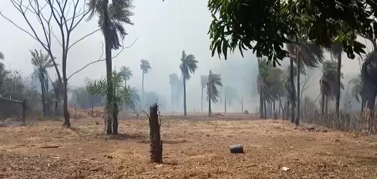 Incendio de pastizales en zona Luque -Areguá.