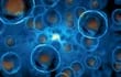 Investigadores de centros españoles y alemanes han publicado este miércoles en la revista Nature un novedoso mecanismo para llevar sustancias bioactivas al interior de la célula.