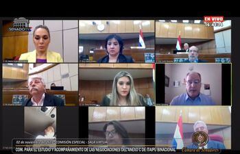 Apenas seis parlamentarios de la Comisión Nacional para el estudio y acompañamiento de las negociaciones de la revisión del Anexo C de Itaipú Binacional participaron ayer de la reunión virtual, en la que recibieron al ex director de la binacional, James Spalding.