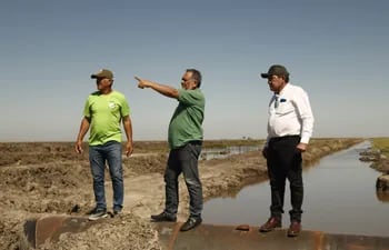Los senadores Sixto Pereira y Pedro Santa Cruz visitaron el arrozal la semana pasada en Villa Oliva, ante la denuncia de los pobladores del grave daño al medio ambiente.