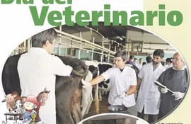 dia-del-veterinario-113729000000-1615877.jpg