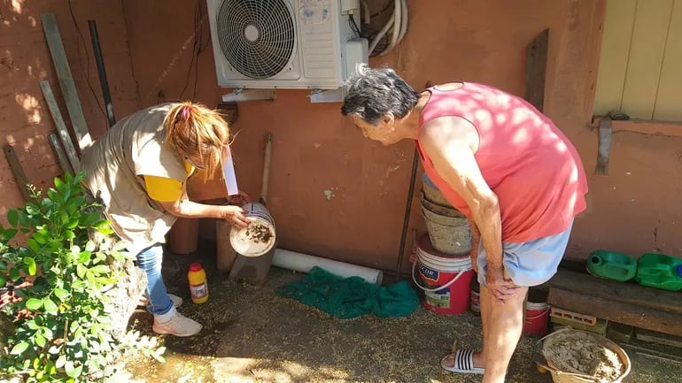 Funcionarios de Senepa recorren las casas de todo el país eliminando posibles criaderos de mosquitos aedes aegypti.