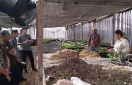 Floricultura: expertos recomiendan realizar trasplante de plantas en esta temporada