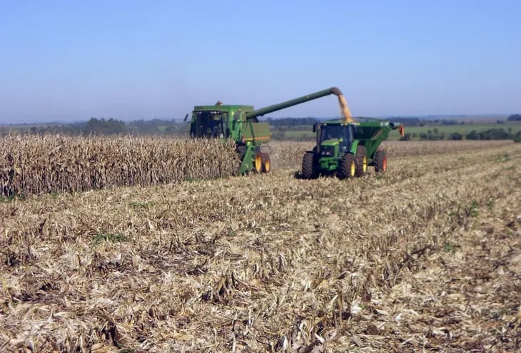Los envíos de la cosecha de maíz de la zafra 2023, que se iniciaron en mayo, siguen aumentando, ya que en estos cinco meses fueron exportadas 966.661 toneladas.