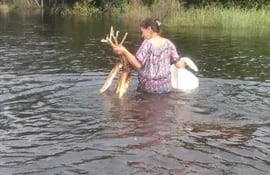 Una mujer intenta salvar algo de mandioca afectadas por las inundaciones.