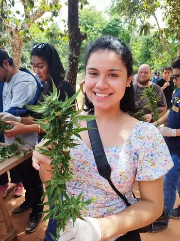 Ambiente festivo  en Agüerito; todos se sumaron a la cosecha de marihuana.