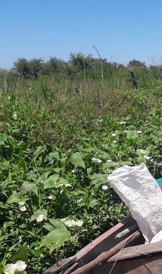 Hombre muere al dispararse con un rifle de manera accidental en los humedales del Ypoá