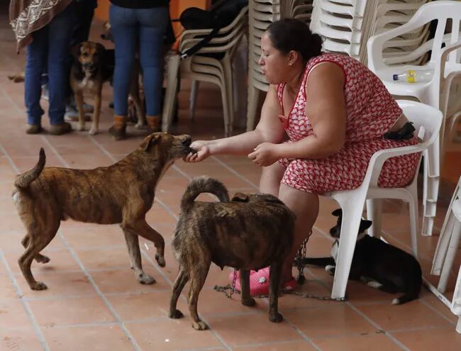 Ana Cristina Martínez juega con sus perros el 12 de enero de 2023 en Rosas (Cauca). Cuando la tierra comenzó a temblar y una avalancha arrastró más de 60 viviendas en el municipio de Rosas, en el departamento colombiano del Cauca (suroeste), una mujer sobrevivió gracias a las narices frías y las colas meneantes de sus cuatro perros que la guiaron hacia la supervivencia.