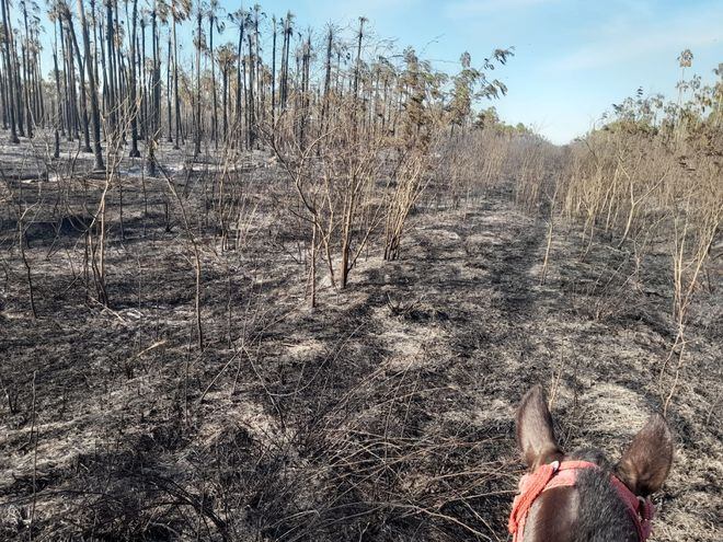 La falta de lluvias, hace que se resienta la escases de agua y se produzca los temibles incendios forestales en la zona de Bahia Negra.