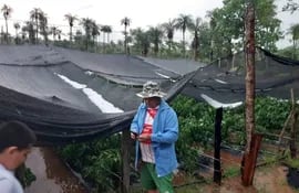 Granizada afectó a viviendas y cultivos en Carapeguá