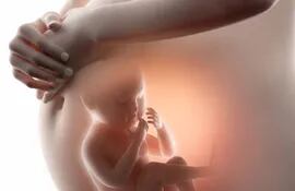 Una mujer italiana de 41 años, que había superado un cáncer de mama, consiguió quedarse embarazada de mellizos gracias a óvulos congelados hace 14 años y donados por otra mujer, y, aseguran, “es la primera vez en el mundo que se documenta la fertilidad de ovocitos vitrificados y criopreservados después de tanto tiempo”.