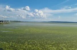 El lago Ypacaraí se presentaba con el color verde que indica el florecimiento de algas el 9 de diciembre del 2022, frente al Club Náutico. Según resultados de estudios esta vez no fueron las cianobacterias o algas tóxicas.