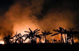 Los incendios en la Amazonía brasileña intoxican el aire y provocan cientos de hospitalizaciones.