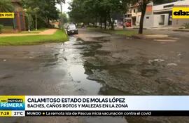 Calamitoso estado de la avenida Molas López